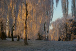 Ochtendgloren in de winter.